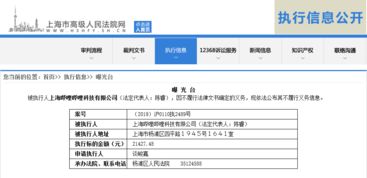 嗶哩嗶哩被上海高院列為被執(zhí)行人 技術(shù)開發(fā)與法律義務(wù)的交鋒